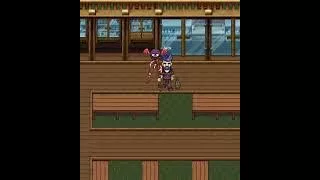 Gear: Pets Walking archive footage